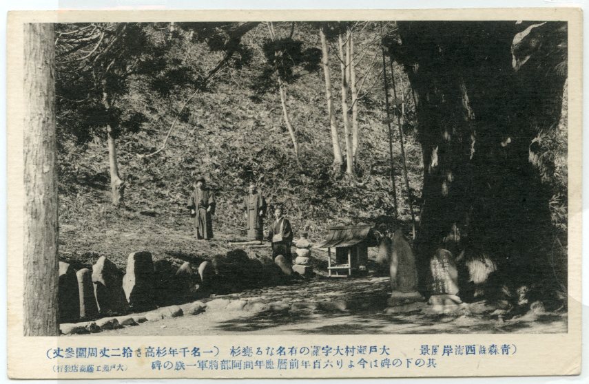 収蔵資料検索 詳細｜青森県立郷土館 Aomori Prefectural Museum